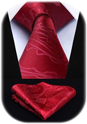 HISDERN Solid Paisley Tie for Men Handkerchief Woven Classic Flroal Men's Necktie & Pocket Square Set Wedding