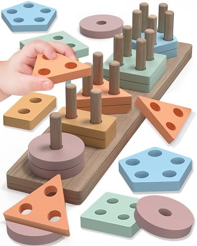 Montessori Toys for 1 2 3 Year Old Boy Girl, Toys for Ages 2-4 To...