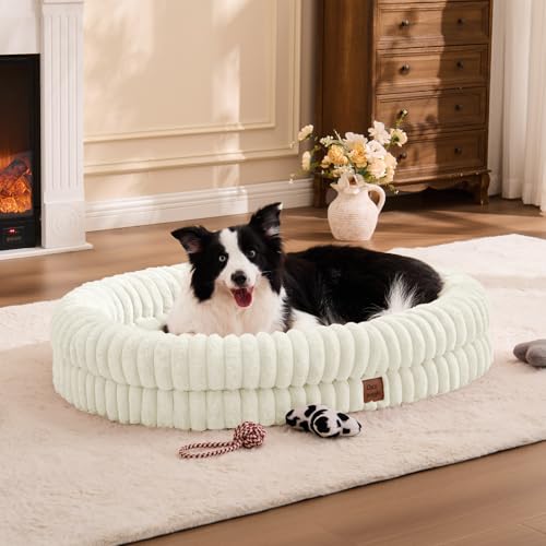 ChiXnuggle XL Orthopedic Dog Bed