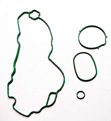 General Motors 19169262, Fuel Injection Plenum Gasket