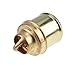 ZTUOAUMA 160 Degree Thermostat 181634M1 B2NN8575A 1206-6003 1106-6003 Compatible with Ford 2N 8N 9N Massey Ferguson TE20 TO20 TO30 Tractors