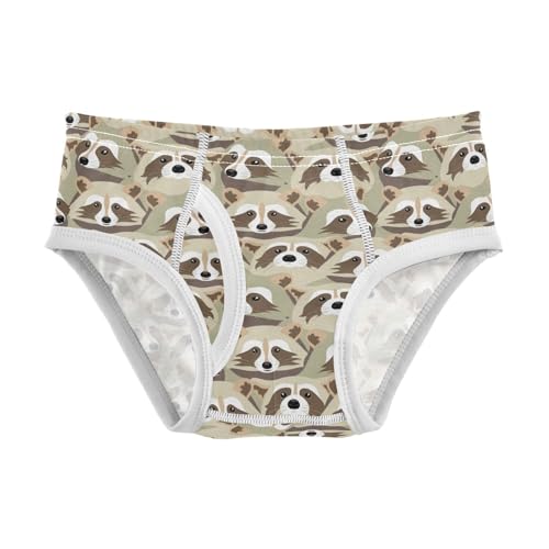 Boys' Underwear Cotton Little Boys Raccoons Briefs Soft Toddler Underwear 2T-8Y
