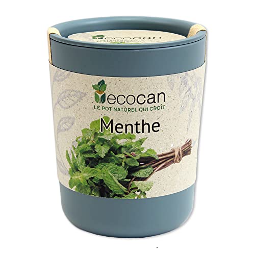 Feel Green Ecocan, Menthe, Idée Cadeau (100% Biodégradable), Grow-Your-Own/Kit Prêt-à-Pousser,...