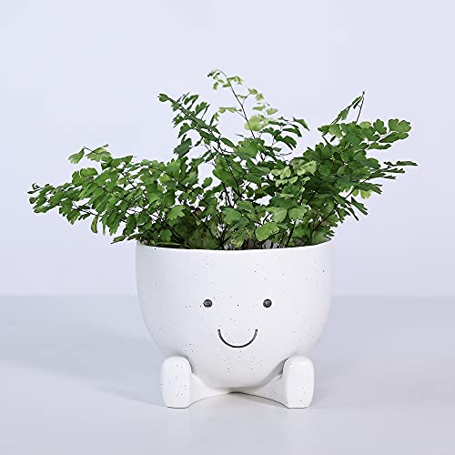 Aimebby Face Flower Pot Face Planters Pots Cute Flower Pot Head Planter For Indoor Plants Succulent Planters With Drainage Hole Resin Planter 4 Inches #TOP6