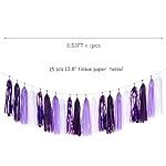 Purple White Lavender Party-Decorations Tassel-Garland - 20pcs Women Girl Birthday Supplies Tassels, Baby Bridal Shower Wedding Engagement Bachelorette Graduation Decor Panduola - Image 2