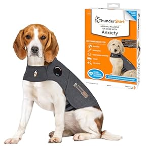 ThunderShirt for Dogs, Medium, Heather Gray Classic – Dog Anxiety Relief Calming Vest