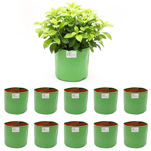 Image of Bio Blooms Round HDPE Plant Grow Bag for Terrace & Kitchen Gardening | 12x12 | 200 GSM Heavy Duty Outdoor Grow Bag | Durable Planter for Vegetables, Flowers & Plants | Green & Orange