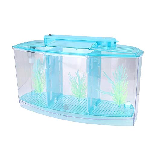 Peceras Pequeñas para Bettas Marca Plyisty
