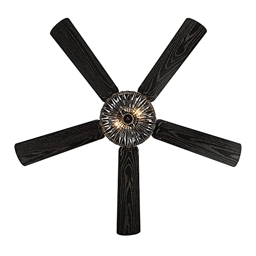 River Of Goods Glam 52 Inch Width Double-Lit Led Ceiling Fan, Clear #TOP7