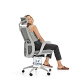 Desktronic Verstellbarer ergonomischer Bürostuhl...