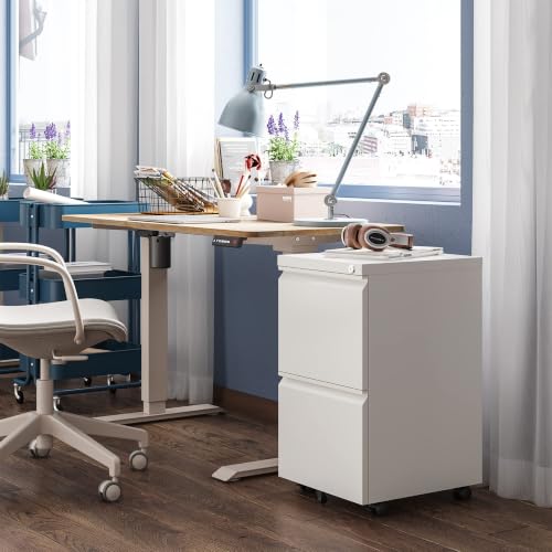 Image of DEVAISE 2 Drawer File Cabinet with Lock for Home Office, Fully Assembled