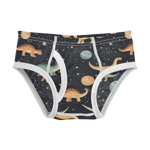 Wusikd Dinosaurs Floating Boys' Underwear Cotton Colorful Boys Briefs Soft Toddler Underwear 2T