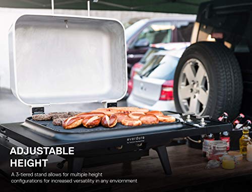 Everdure Force 2 Burner Gas Grill, Liquid Propane Portable Bbq Grill With Die-Cast Aluminum Body And Fast-Ignition Technology, 388 Square Inches Of Grilling Surface, Adjustable Height, Graphite #TOP2