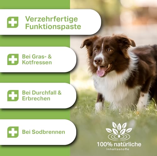 MEDIDOG 500g Premium Ulmenrinden Paste für Hunde sofort verzehrfertig ohne Zusatzstoffe | Bessere Verdauung, Bei Kotfressen, Sodbrennen, Durchfall, Slippery Elm Bark | In Deutschland hergestellt