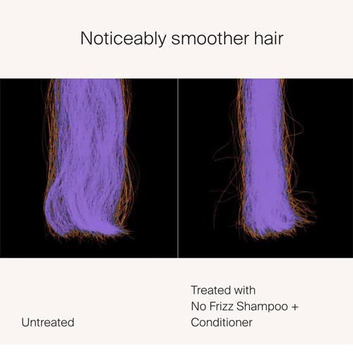 Frizz Shampoo 1000 Ml