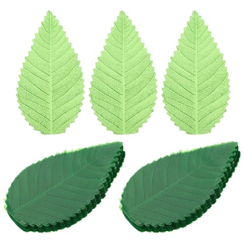 ANDRESLAD ���i�M�p�t�F�C�N���[�t 200���Z�b�g �h�g�M�̗t���� �l�H�����p���i����A�� �a�H�̐���t���Ɨ␻�����̉��o�p