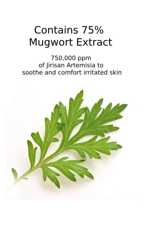 CHARMZONE Mugwort Serum The Original 1.69oz – Calming & Hydrating Serum for Healthy, Radiant Skin - Image 3