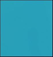 Vista 181 de Faber-Castell Polychromos Artists' Single Pencil - Colour 267 Pine Green