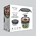 Bentgo Glass All-in-One Salad Container - Large 61-oz Salad Bowl with Lid, 4-Compartment Bento-Style Tray, 3-oz Sauce Container, and Reusable Fork - Dishwasher, Microwave, and Oven Safe (Dark Gray)