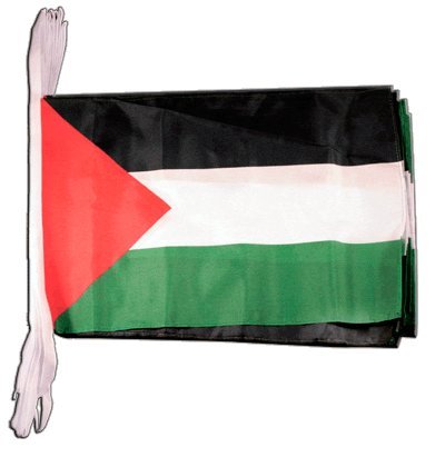 Guirlande de drapeaux Palestine Digni longueur 8,9 m pour décoration de salle