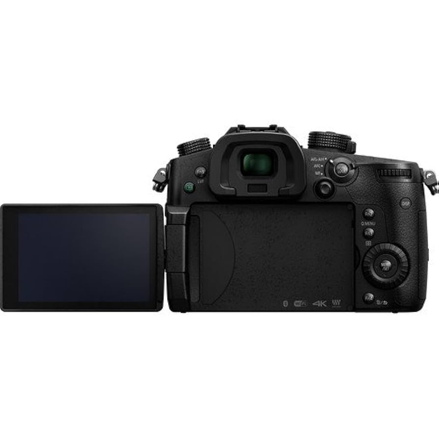 Panasonic LUMIX DC-GH5-K ボディ SDカード V-Log Panasonic