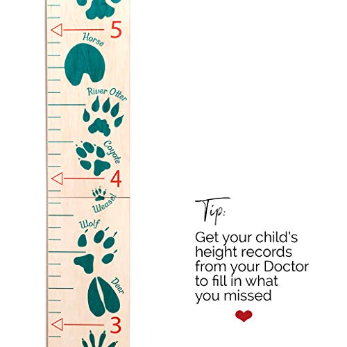 Headwaters Studio Wooden Ruler Growth Chart For Kids, Boys And Girls - Height Chart & Height Measurement For Wall - Kids Nursery Wall Decor And Room Hanging Wall Decor - Green Animal Tracks #TOP6