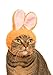 Kitan Club Cat Cap - Pet Hat Blind Box Includes 1 of 5 Cute Styles - Soft, Comfortable - Authentic Japanese Kawaii Design - Animal-Safe Materials, Premium Quality (Rabbit)