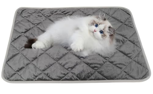 ybgpzbg}bg L  uPbg ̉Œ~M dCsp ybgq[^[ Iۉ g L xbh}bg 􂦂 ӂӂ  ~ ΍ 40×50cm (O[)