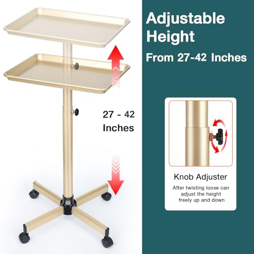 Salon Tray, Champagne Gold Salon Rolling Tray, Salon Service Tray Cart with Adjustable Height, Salon Tray on Wheels, Ideal Use As Tattoo Tray&Deantal Tray, No-Rusting