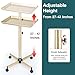 Salon Tray, Champagne Gold Salon Rolling Tray, Salon Service Tray Cart with Adjustable Height, Salon Tray on Wheels, Ideal Use As Tattoo Tray&Deantal Tray, No-Rusting