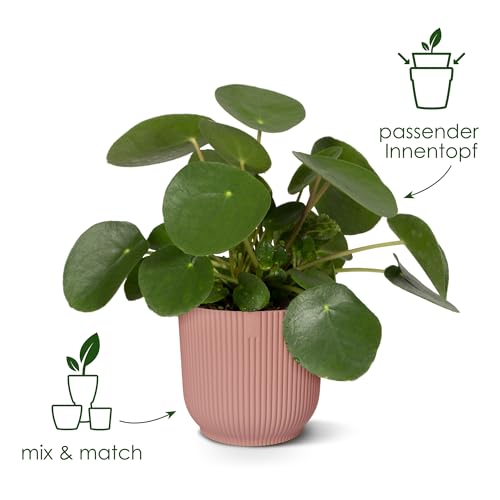 elho Vibes Fold Rund mit Selbstbewässerungssystem - Blumentopf für Innen - 100% Recycelter Kunststoff - Ø 18 cm - Zartrosa – Ansicht 4