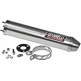 Aprilia RS 125 (Bj. 2010) Endschalldämpfer/ESD Giannelli mit ABE für Aprilia RS/Tuono 125 - Aluminium