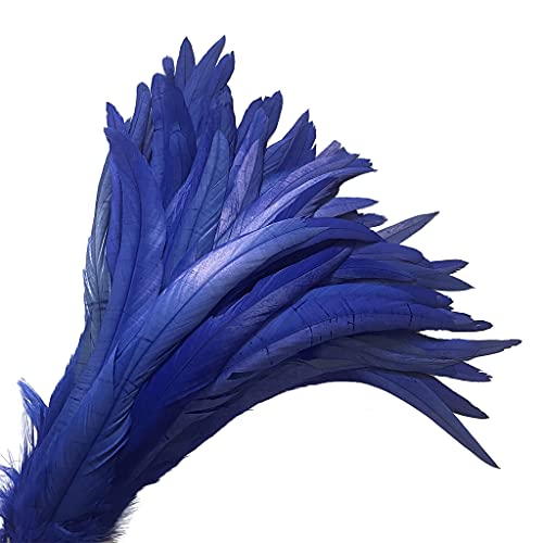 20 Pcs 14-16 Inch Natural Rooster Coquetail Feathers For Stage Performance And Costume Decoration, Halloween Carnival (Royal Blue) #TOP1
