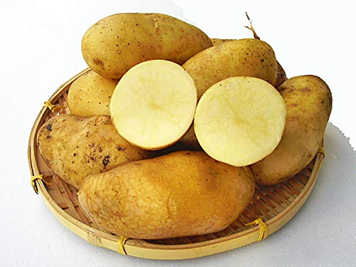 北海道四季工房 北海道剣淵産 アポリン（Ｍ～Ｌ混）北海道産じゃがいも