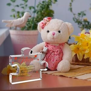 Velenti niece gifts acrylic block puzzle niece gift cute niece gifts from aunt uncle birthday christmas paperweights graduation niece gifts from auntie novelty gifts for nieces  urban country home decor