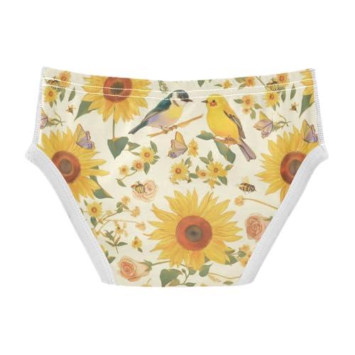 Wusikd Birds Sunflowers Boys' Underwear Cotton Bees Boys Briefs Soft Toddler Underwear 2T2