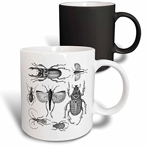3dRose Vintage drawing of bugs and beetles in black and white 11oz Magic Transforming Mug