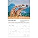 Carousel Calendars, Giraffes WWF 2026 Wall Calendar, 14'' X 12'', 16-Month Calendar with Stapled Binding