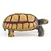 European Tortoise Wildlife Animal Model Figure Garden Ornament Education Cognitive Toy for Boys Girls Kids