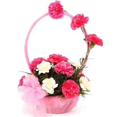 Floralbay Valentine's Day Special Fresh Flowers Special Basket Arrangement of 8 Pink Carnation and 3 White Carnation (Bunch of 11)