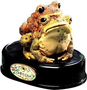 Housewares Froggy Frolic Motion Detector Sensor
