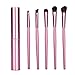 Aisxle 5 Piece Eye Makeup Brush Kit - Beauty and Travel Set - All In One - Soft Bristles and Easy to Carry - Easy to Use - Professional Eyeshadow Brush Makeup Kit - Full Set of Eye Brushes Whenever You Need Them - Perfect for Smokey Eye and More