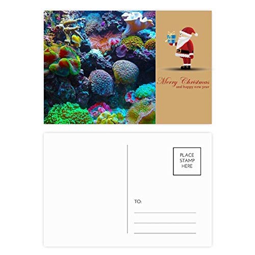 Cartes postales corail Ocean lot de 20 coffret cadeau papeterie pour amoureux de la mer