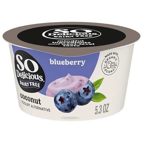 So Delicious Dairy Free Coconut Milk Yogurt Alternative, Blueberry, Vegan, Non-GMO Project Verified, 5.3 oz.