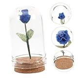 Minuscule : avec son beau design, ce en verre miniature deviendra à coup sûr un décor précieux que vous chérirez pendant des années,mini pour l'artisanat