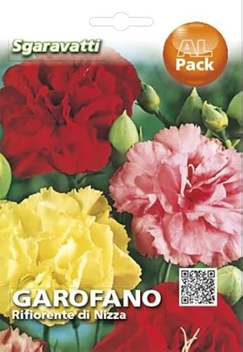Semi di Garofano Rifiorente di Nizza, Miscuglio di Colori, Diamanthus Caryophyllus, Fiori per Vaso, Fioriere, Giardino, Aiuole, Bordature, Nice Clove Seeds
