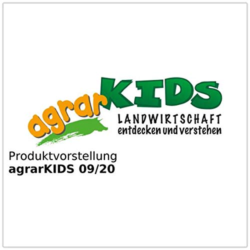 Royal Gardineer Bienenhotel: Insektenhotel Marie, Nisthilfe für Nützlinge, 20 x 20 x 7 cm (Wildbienenhaus) – Bild 6