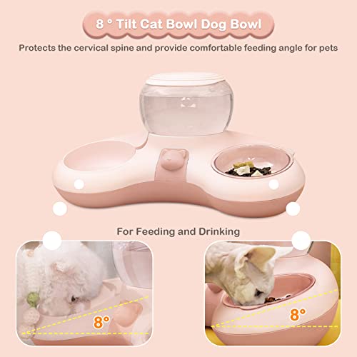 ALLSOPETS Ciotola per Gatti Doppio Ciotola Gatto