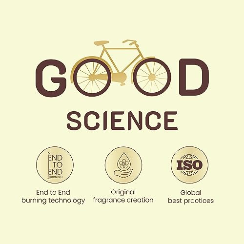 Cycle Pure Dasara Incense Sticks/Pack of 2 (60 Sticks Per Pack) / Sandal, Rose Natural Fragrance Agarbathi for Puja, Festivals, Gifting