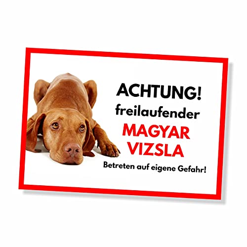 Was hilft gegen Rolligkeit bei Katzen? Tipps und Tricks